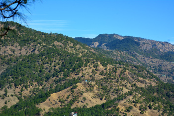 Property for sale in Rajgarh, Sirmour