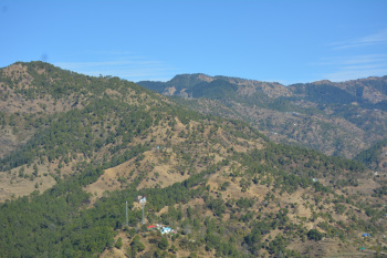 Property for sale in Rajgarh, Sirmour