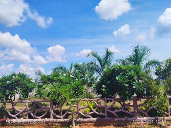 Residential Plot for Sale in Abhanpur, Raipur (1200 Sq.ft.)