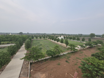 Property for sale in Kathadih Village, Raipur