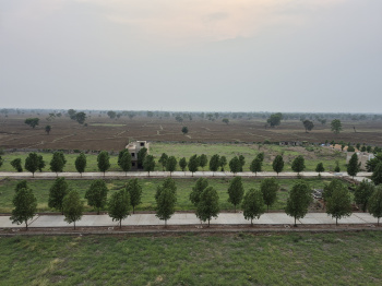 Property for sale in Kathadih Village, Raipur