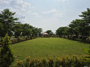 Residential Plot for Sale in Kathadih Village, Raipur (1501 Sq.ft.)