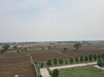 Property for sale in Sejbahar, Raipur