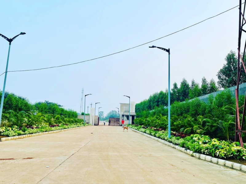 1500 Sq.ft. Residential Plot for Sale in Naya Raipur, Raipur