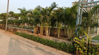 Residential Plot for Sale in Bhatagaon, Raipur (591 Sq.ft.)