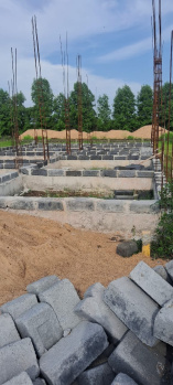 Residential Plot for Sale in Kendri, Raipur (1250 Sq.ft.)