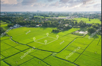 Residential Plot for Sale in Kamal Vihar, Raipur (1000 Sq.ft.)