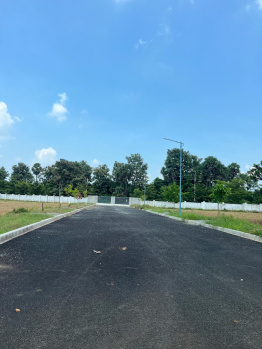 Plots for sale in air port area bhogapuram
