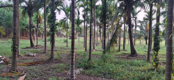 Agricultural/Farm Land for Sale in Sawantwadi, Sindhudurg (2 Acre)