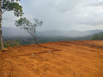 Agricultural/Farm Land for Sale in Dodamarg, Sindhudurg (30 Acre)