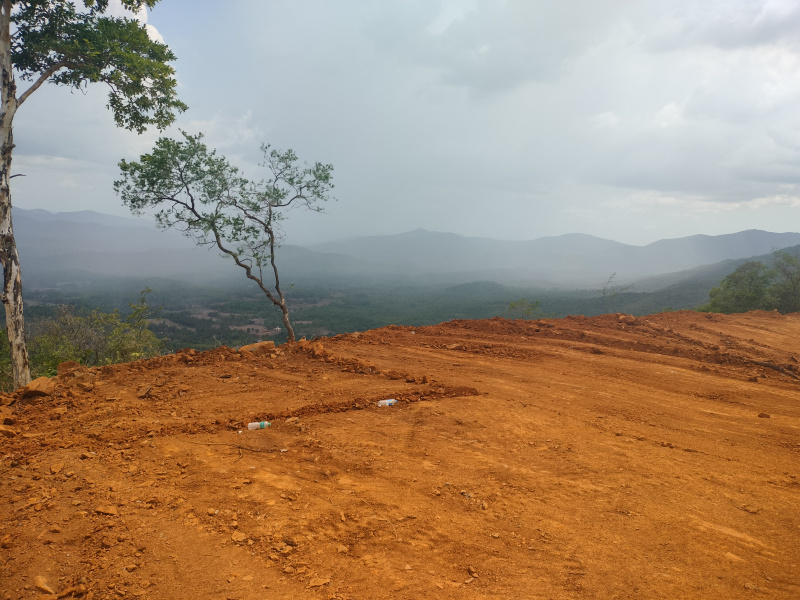 Agricultural/Farm Land For Sale In Dodamarg, Sindhudurg (30 Acre)