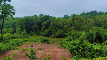 Agricultural/Farm Land for Sale in Dodamarg, Sindhudurg (1.5 Acre)