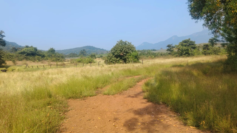 Agricultural/Farm Land For Sale In Dodamarg, Sindhudurg (2.5 Acre)