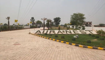 125 Sq. Yards Residential Plot for Sale in Mahiwala, Dera Bassi