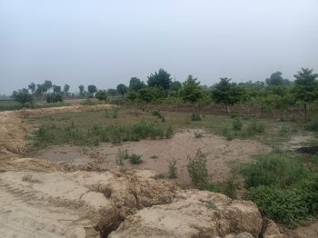 90 Sq.ft. Residential Plot For Sale In Amarheri, Jind