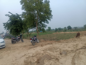 100 Sq.ft. Residential Plot For Sale In Amarheri, Jind