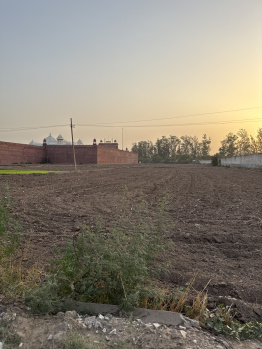 6 Acre Agricultural/Farm Land for Sale in Zirakpur, Panchkula