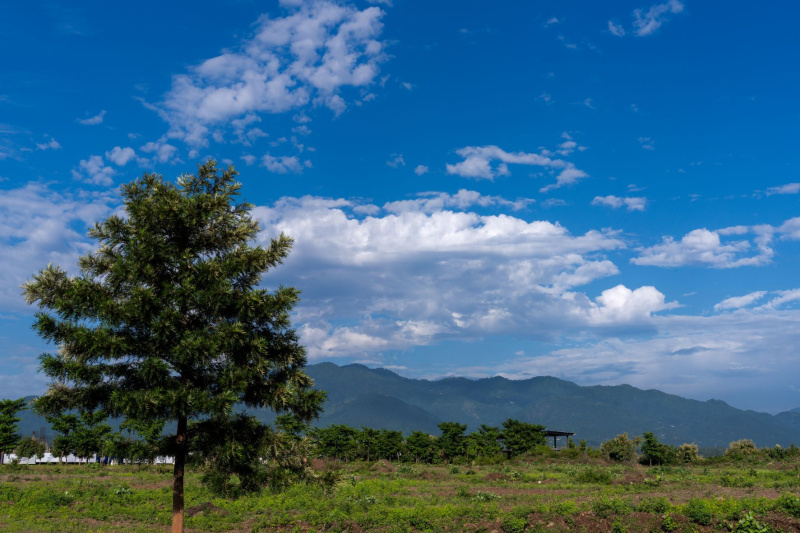 545 Sq. Yards Residential Plot for Sale in Zirakpur Panchkula Kalka Hwy, Panchkula