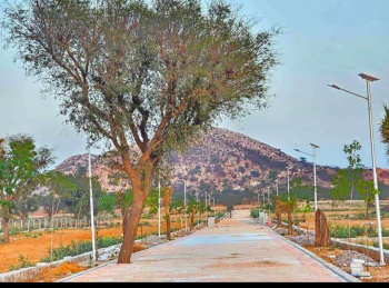 Farm House For Sale In Diggi Road, Jaipur (500 Sq. Yards)