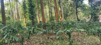 Property for sale in Aldur, Chikmagalur