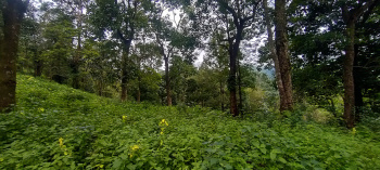 Property for sale in Ujire, Mangalore
