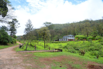 Property for sale in Koppa, Chikmagalur