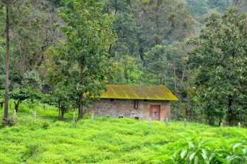 Property for sale in Koppa, Chikmagalur