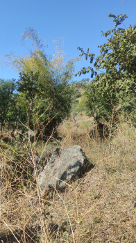 Property for sale in Narendra Nagar, Rishikesh