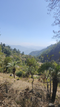 Agricultural/Farm Land for Sale in Narendra Nagar, Rishikesh (4 Bigha)