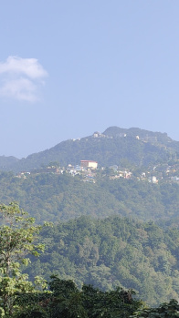 Residential Plot for Sale in Narendra Nagar, Rishikesh (450 Sq. Yards)