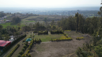 Agricultural/Farm Land for Sale in Thano, Dehradun (10800 Sq. Yards)