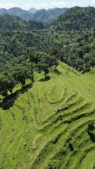 Property for sale in Neelkanth Road, Rishikesh