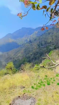 Property for sale in Narendra Nagar, Rishikesh