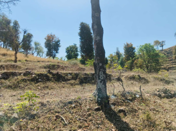 Property for sale in Yamkeshwar, Pauri Garhwal