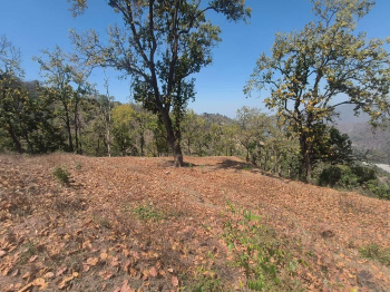Property for sale in Yamkeshwar, Pauri Garhwal