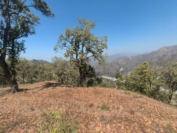 Property for sale in Yamkeshwar, Pauri Garhwal