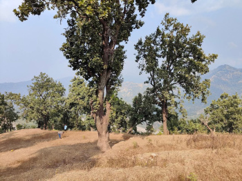 Property for sale in Yamkeshwar, Pauri Garhwal