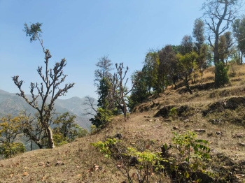 Property for sale in Yamkeshwar, Pauri Garhwal
