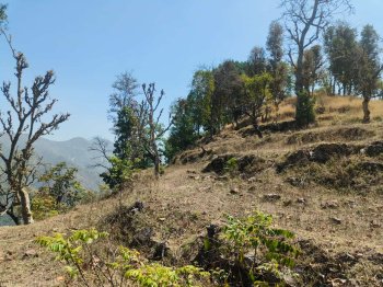 Property for sale in Yamkeshwar, Pauri Garhwal