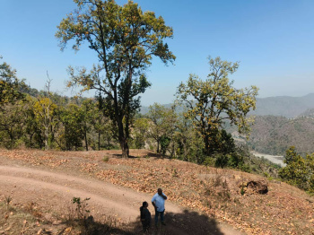 Property for sale in Yamkeshwar, Pauri Garhwal