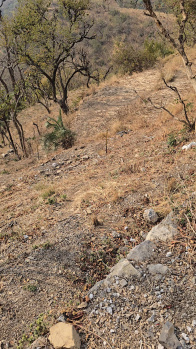 Property for sale in Narendra Nagar, Rishikesh