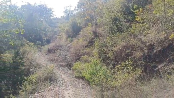 Property for sale in Neelkanth Road, Rishikesh