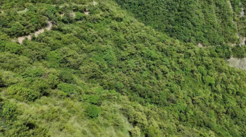 Property for sale in Tehri, Tehri Garhwal