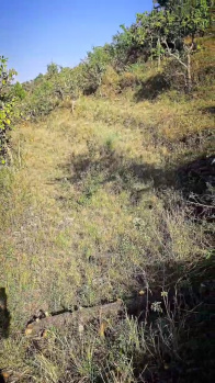 Property for sale in Shivpuri, Rishikesh