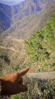 Property for sale in Shivpuri, Rishikesh