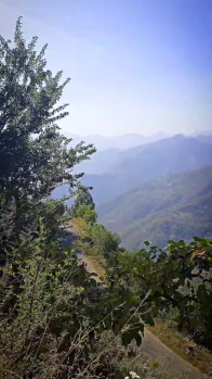 Property for sale in Shivpuri, Rishikesh