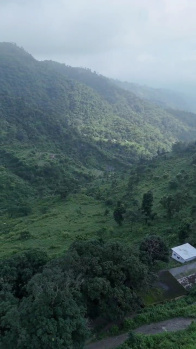 Agricultural/Farm Land for Sale in Neelkanth Road, Rishikesh (6000 Sq. Yards)
