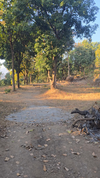 Agricultural/Farm Land for Sale in Thano, Dehradun (3600 Sq. Yards)