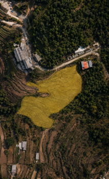 Agricultural/Farm Land for Sale in Narendra Nagar, Rishikesh (3120 Sq. Yards)