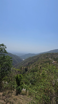 Agricultural/Farm Land for Sale in Itharna, Dehradun (4950 Sq. Yards)